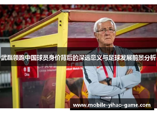 武磊领跑中国球员身价背后的深远意义与足球发展前景分析