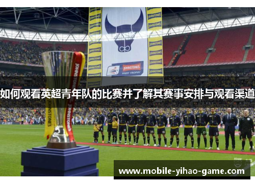如何观看英超青年队的比赛并了解其赛事安排与观看渠道