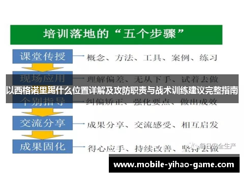 以西格诺里踢什么位置详解及攻防职责与战术训练建议完整指南