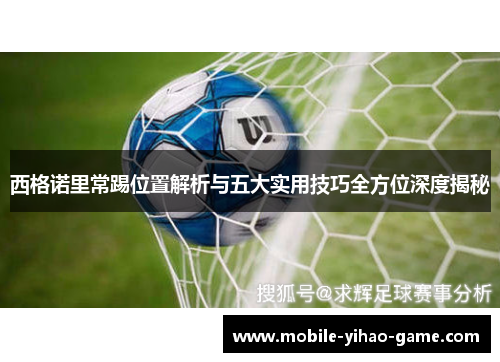 西格诺里常踢位置解析与五大实用技巧全方位深度揭秘