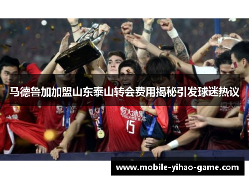 马德鲁加加盟山东泰山转会费用揭秘引发球迷热议