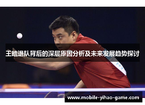 王皓退队背后的深层原因分析及未来发展趋势探讨