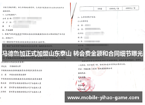马德鲁加正式加盟山东泰山 转会费金额和合同细节曝光